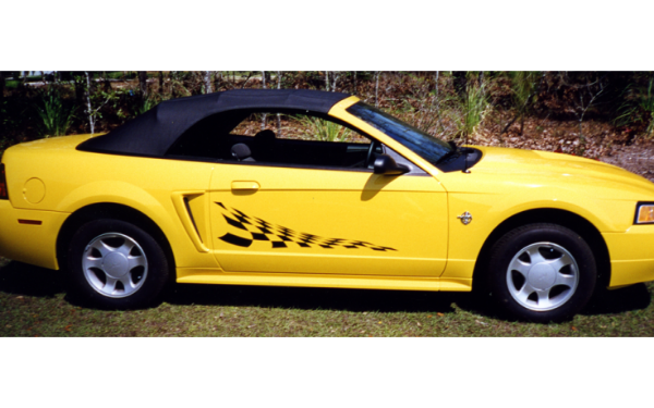 Picture of Checker Flag Decal Set 13" x 45" - No Designation