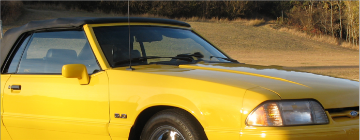 Show details for 1987-93 Mustang Hood Cowl Stripe Set - 5.0 Designation Picture of 1987-93 Mustang Hood Cowl Stripe Set - 5.0 Designation