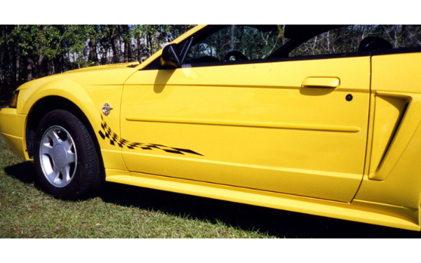 Picture of Checker Flag Decal Set 8" x 30" - No Designation