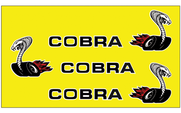 Picture of 1970 Ford Torino Cobra Snake Decal Set