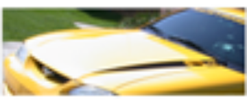 Show details for 1994-98 Mustang Hood Wide Cowl Stripe and Decal Set - 4.6L Name Picture of 1994-98 Mustang Hood Wide Cowl Stripe and Decal Set - 4.6L Name
