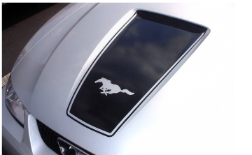 Show details for 1999-03 Mustang Square Nose Hood Decal with Pinstripe & Pony Cutout Picture of 1999-03 Mustang Square Nose Hood Decal with Pinstripe & Pony Cutout