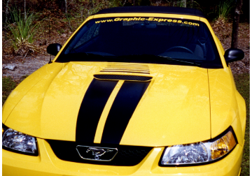 Show details for 1999-03 Mustang Dual Hood Stripe Kit with Fader - Flat Hood Picture of 1999-03 Mustang Dual Hood Stripe Kit with Fader - Flat Hood