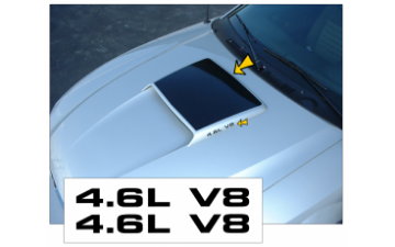 Show details for 1999-04 Mustang GT Hood Scoop Blackout & Numeral Decal Set - 4.6L V8 Picture of 1999-04 Mustang GT Hood Scoop Blackout & Numeral Decal Set - 4.6L V8