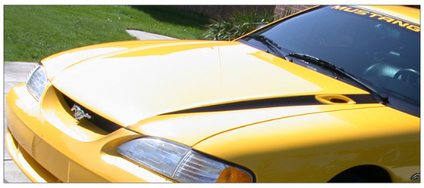 Picture of 1994-98 Mustang Hood Wide Cowl Stripe and Decal Set - No Name