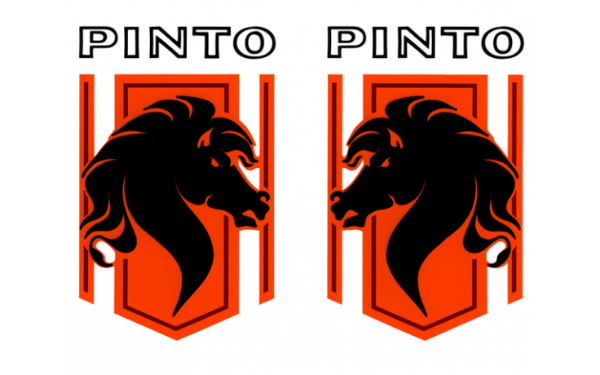 Picture of *1976 Ford Pinto Stallion Fender Decal Set