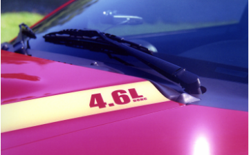 Show details for 1996-98 Cobra Hood Wide Cowl Stripe Set - 4.6L DOHC Name Picture of 1996-98 Cobra Hood Wide Cowl Stripe Set - 4.6L DOHC Name