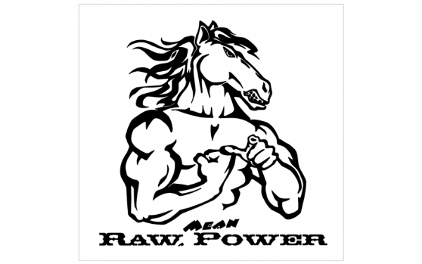 Picture of Mustang Raw Mean Power Pony Decal 18" Tall
