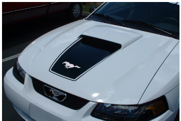 Show details for 1999-04 Mustang Square Nose Hood Decal with Pinstripe & Pony Cutout Picture of 1999-04 Mustang Square Nose Hood Decal with Pinstripe & Pony Cutout