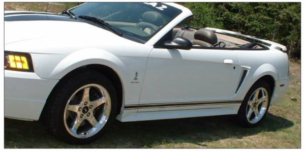 Picture of Mustang Narrow Lower Rocker Side Stripes - No Designation