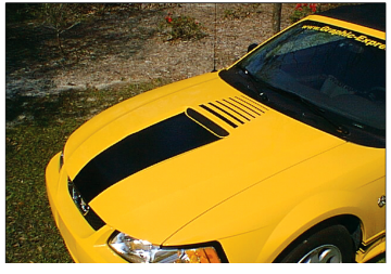 Show details for 1999-03 Mustang Solid Hood Stripe Kit with Fader Decal - Flat Hood Picture of 1999-03 Mustang Solid Hood Stripe Kit with Fader Decal - Flat Hood