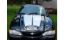 Show details for 1994-98 Mustang Dual Hood Stripe Kit with Ford Logo Picture of 1994-98 Mustang Dual Hood Stripe Kit with Ford Logo