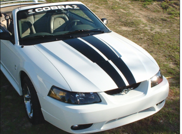 Picture of 1999-02 Mustang Cobra Lemans Racing Hood Stripes - Reverse Scoop