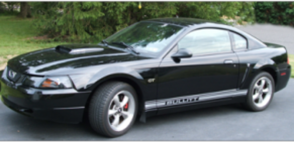 Picture of Ford Thunderbird Lower Rocker Stripes - Thunderbird Name