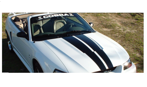 Picture of 1999-02 Mustang Cobra Lemans Racing Stripes - Hardtop - Reverse Scoop