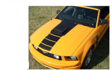 Show details for 2005-09 Mustang Shaker Center Fader Hood Decal Picture of 2005-09 Mustang Shaker Center Fader Hood Decal