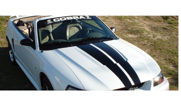 Show details for 1999-02 Mustang Cobra Lemans Racing Stripe - Convertible Reverse Scoop Picture of 1999-02 Mustang Cobra Lemans Racing Stripe - Convertible Reverse Scoop