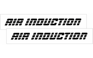 Show details for 1993-02 Camaro AIR INDUCTION Decal Set Picture of 1993-02 Camaro AIR INDUCTION Decal Set