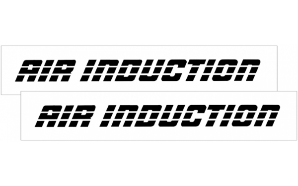 Picture of 1993-02 Camaro AIR INDUCTION Decal Set