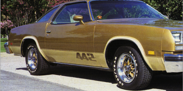 Picture of 1976-77 Oldsmobile 442 Door Paint Stencil