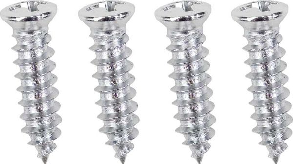 Picture of #10-3/4 Chrome Screws 