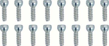 Show details for 16 Piece Rally Wheel Ornament Screw Kit  Picture of 16 Piece Rally Wheel Ornament Screw Kit