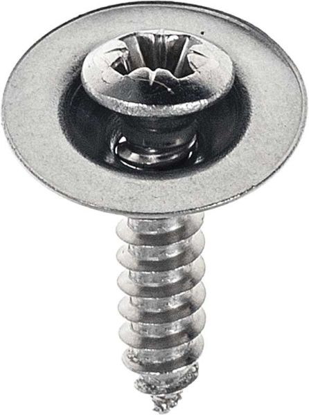 Picture of 1983-02 Rear License Lamp Screws Pair 