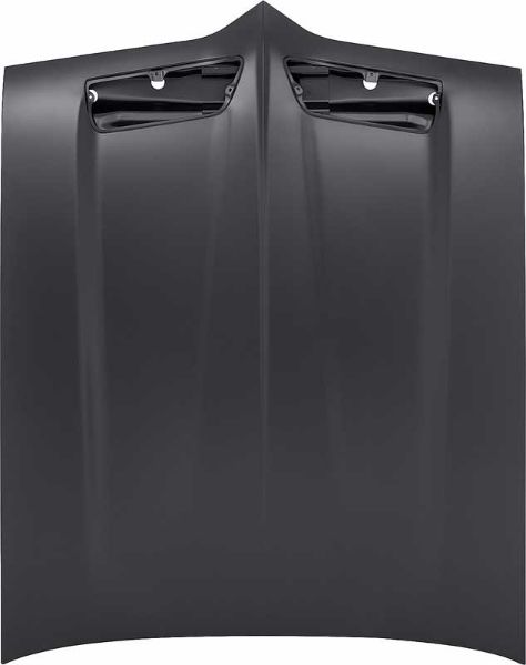 Picture of 1969 Firebird/Trans-Am Steel Hood 