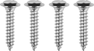 Show details for 1968-69 Interior Pillar Post Molding Screw Set  Picture of 1968-69 Interior Pillar Post Molding Screw Set