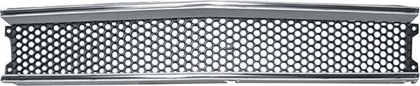 Picture of 1970 GTX Grill 