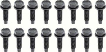 Show details for 1968-81 Camaro/Firebird, 1968-72 Nova 16 Piece Lower Door Hinge Bolt Set  Picture of 1968-81 Camaro/Firebird, 1968-72 Nova 16 Piece Lower Door Hinge Bolt Set