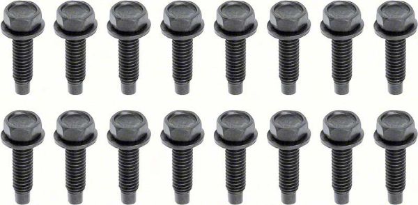 Picture of 1968-81 Camaro/Firebird, 1968-72 Nova 16 Piece Lower Door Hinge Bolt Set 