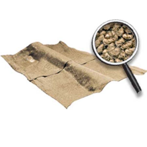 Picture of 1962-67 Chevy ii/Nova 2-Door W/ AT - Loop Carpet Set - Fawn/Sandalwood 