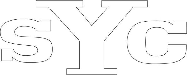 Picture of 1969 Yenko White SYC Headrest Decal 