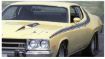 Picture of 1974 Plymouth Road Runner Side & Solid Roof Stripe Kit - 2 Mirrors