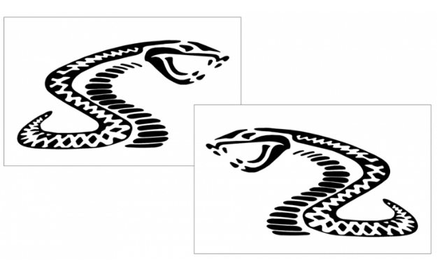 Picture of Mustang Radical Cobra Decal Set - 4" Tall