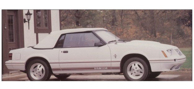 Picture of 1984 ½ Mustang GT350 Lower Side Stripe Kit