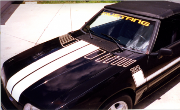 Picture of 1979-93 Mustang L-Side Stripe and Hood Stripe Kit - 302 Designation