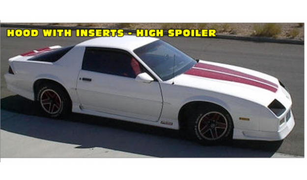Picture of 1991-92 Camaro 25TH Anniversary Stripe - HATCHBACK - Inserts - HS