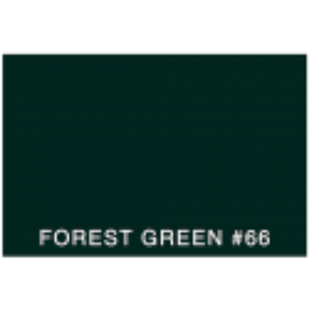 Picture of COLOR SAMPLE - 3M FORREST GREEN #66 (FGN)