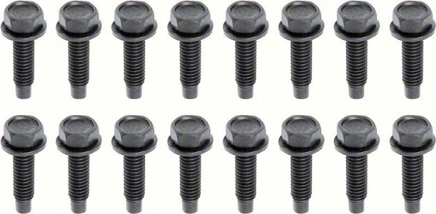 Picture of 1968-81 Camaro/Firebird, 1968-72 Nova 16 Piece Lower Door Hinge Bolt Set 