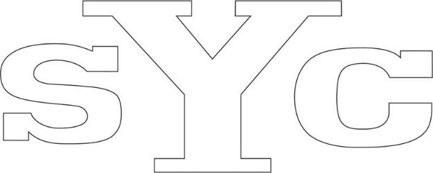 Picture of 1969 Yenko White SYC Headrest Decal 