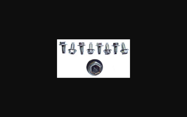 Picture of 1969-1974 Pontiac GTO Valve Cover Bolts W/"N L" On Head