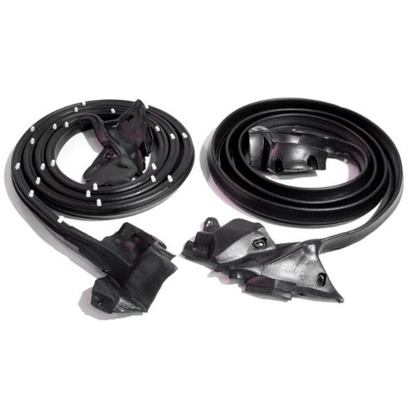 Picture of Metro Molded Door Seals with Clips For Buick Century 1973-1977 9870752/3; LM 12-Y