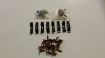 Picture of 1968 Dodge Charger Grille Trim Fastener Clip Set 