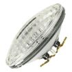 Picture of 1970-71 Plymouth Cuda Road Lamp Bulb with "FOG" Lettering (Each)