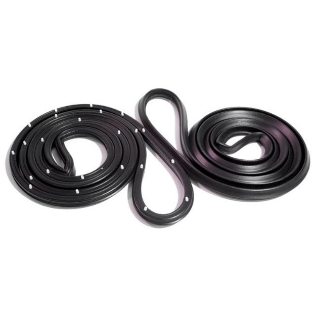 Picture of Metro Front Molded Door Seals with Clips For Buick Apollo 1975, Skylark 76-79; LM 20-P