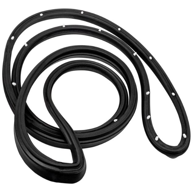 Picture of Metro Rear Molded Door Seals, with Clips For Buick Apollo 75, Skylark 76-79; LM 20-P/R