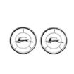 Picture of 1965-1966 Impala Front Fender Emblem, Sold as a Pair