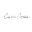 Picture of 1965-1967 Full-Size Chevrolet Front Fender Emblem, “Caprice”, Sold as a Pair